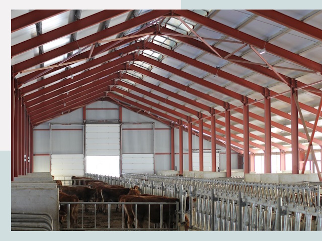 Строительство коровников в Муравленко