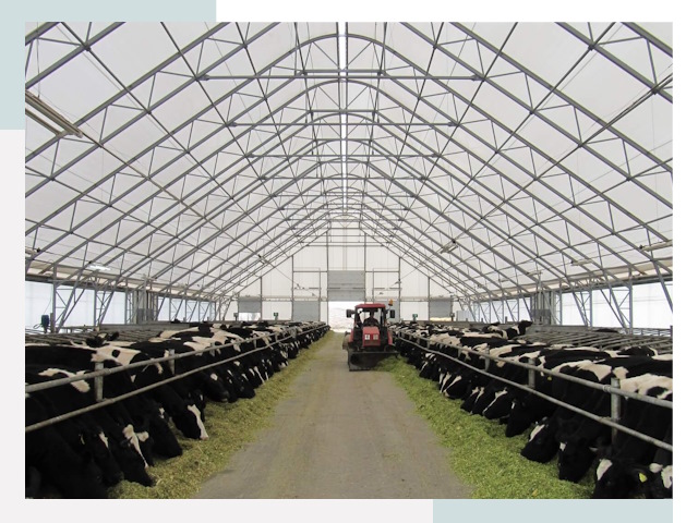 Тентовые коровники в Муравленко от 642 руб. - Надежно и доступно